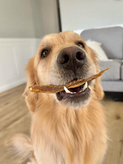 Pack of Fish Fingers dog treats