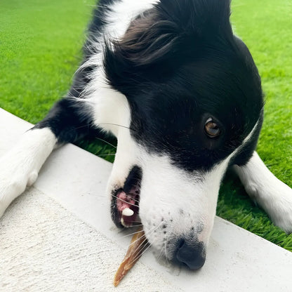 Pack of Fish Fingers dog treats