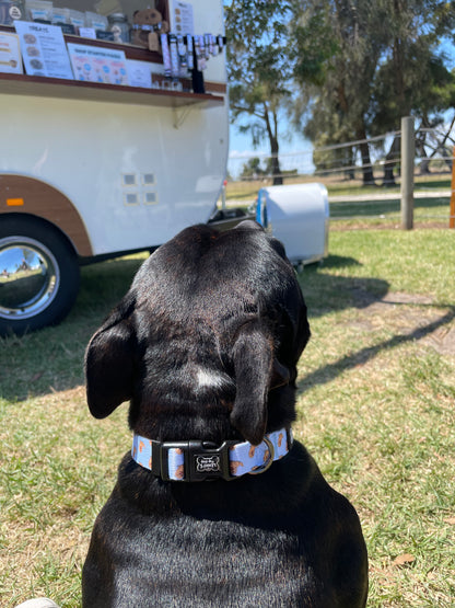 Lenny Dog Collar