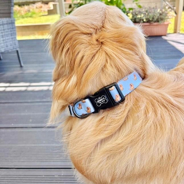 Lenny Dog Collar