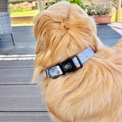 Lenny Dog Collar