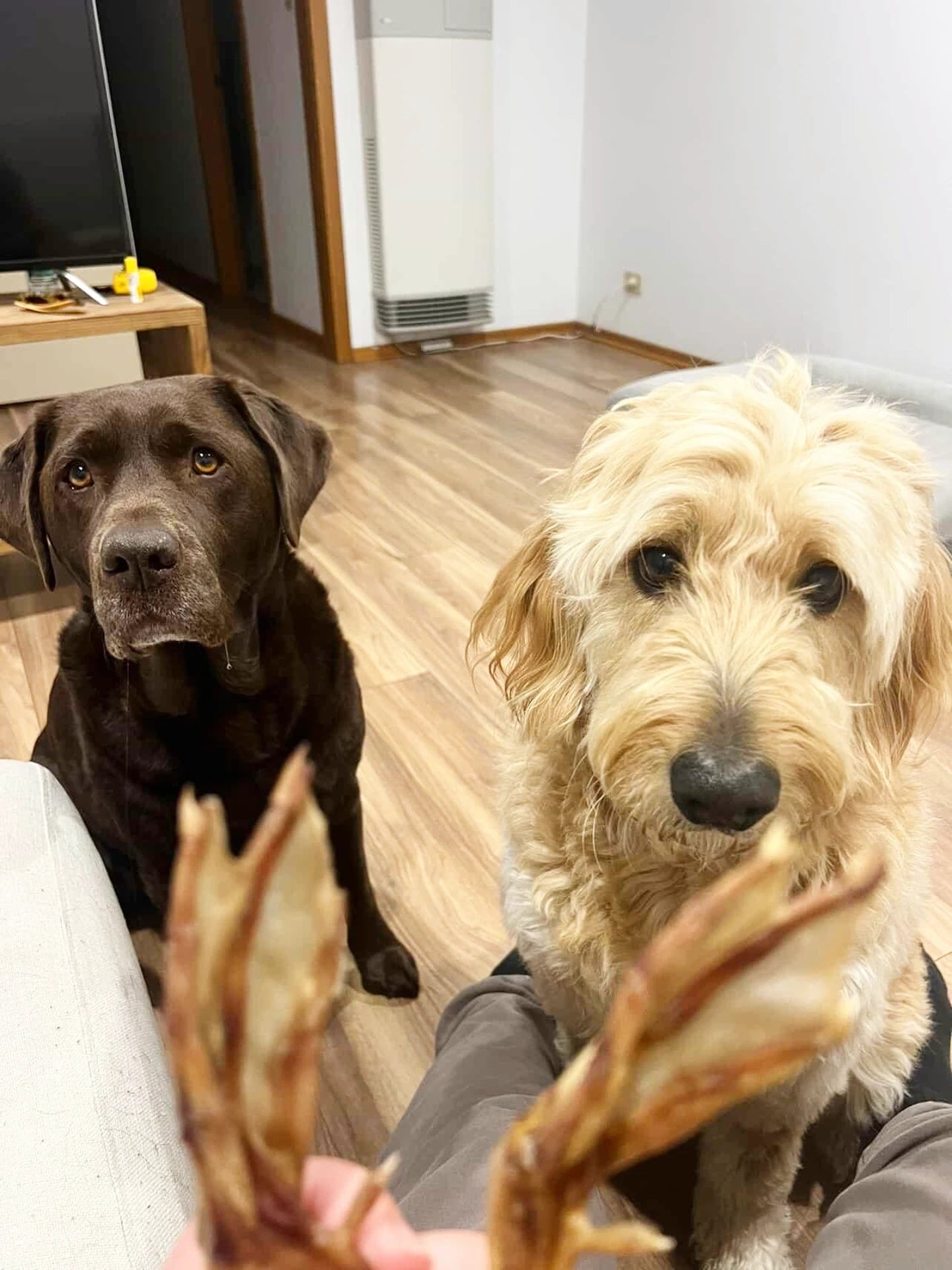 Duck feet dog treats