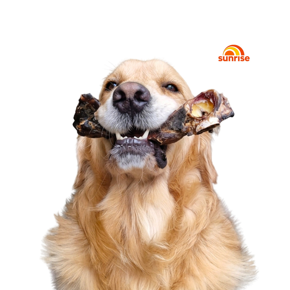 Lenny's Pup Shop