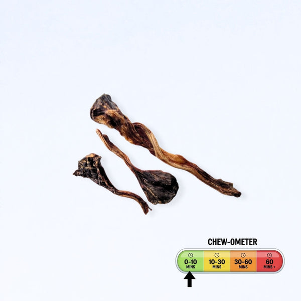Roo Tendons