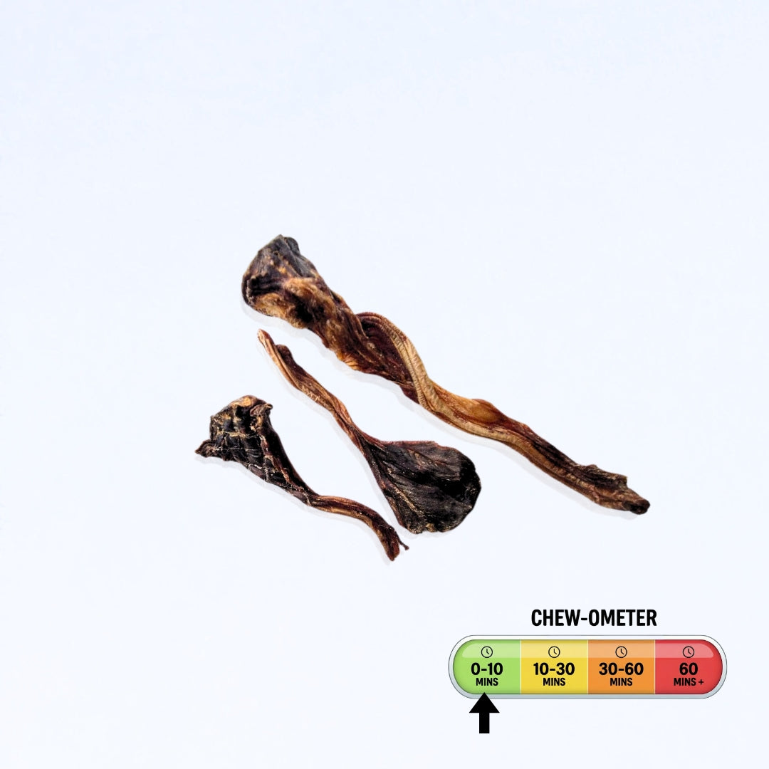 Roo Tendons