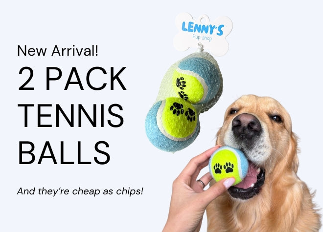 New Arrival! lenny's tennis balls
