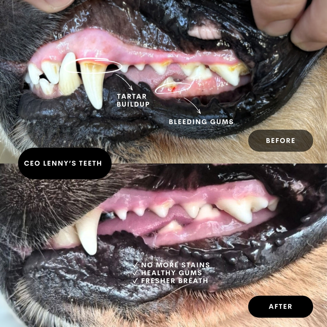 Roo teeth cleanser