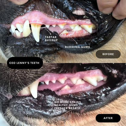 Roo teeth cleanser