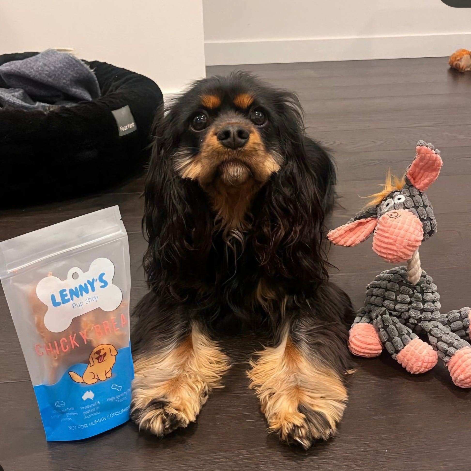 Pack of Chicky Breast Fillets dog treats