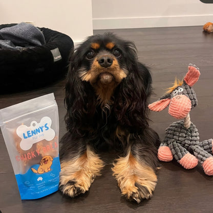 Pack of Chicky Breast Fillets dog treats