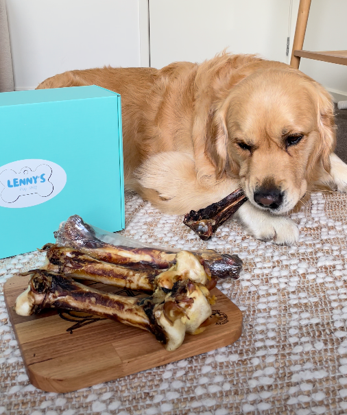 Dog lying on a couch with bones and a 'Lenny's' box in front of it