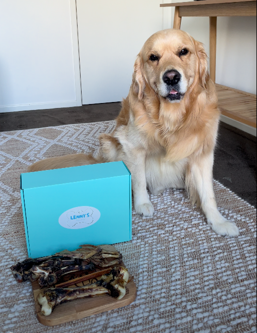 Dog sitting on a rug with a blue box and dog treats in front of it.