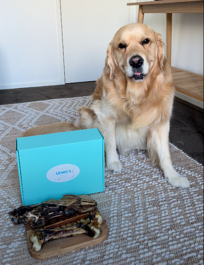Dog sitting on a rug with a blue box and dog treats in front of it.