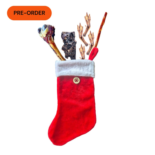 Lenny's Chew stocking