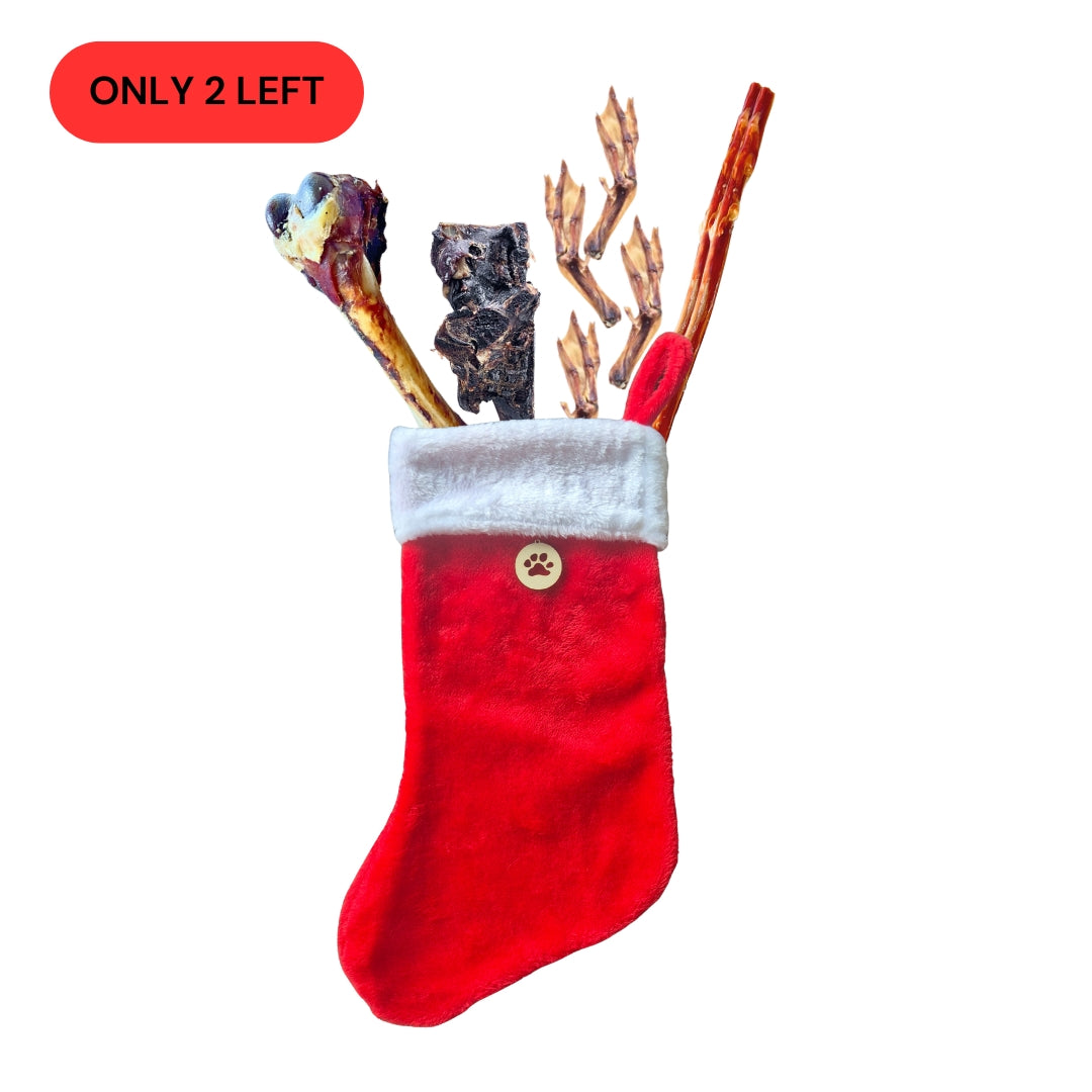 Christmas Chew Stocking