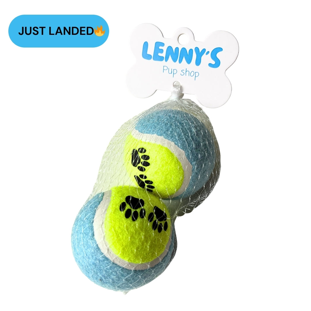 Lenny's Tennis Balls (2 Pack)