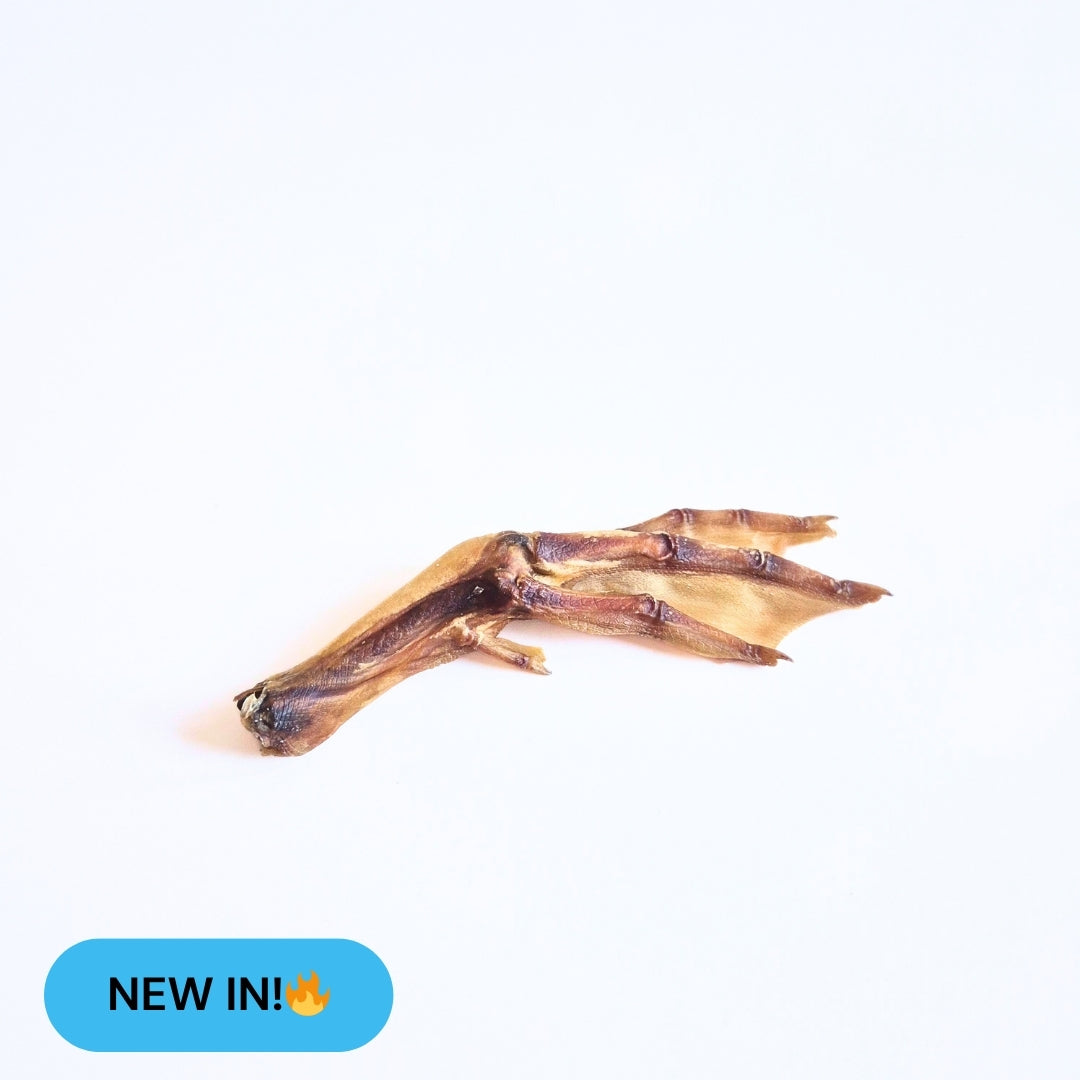 duck feet