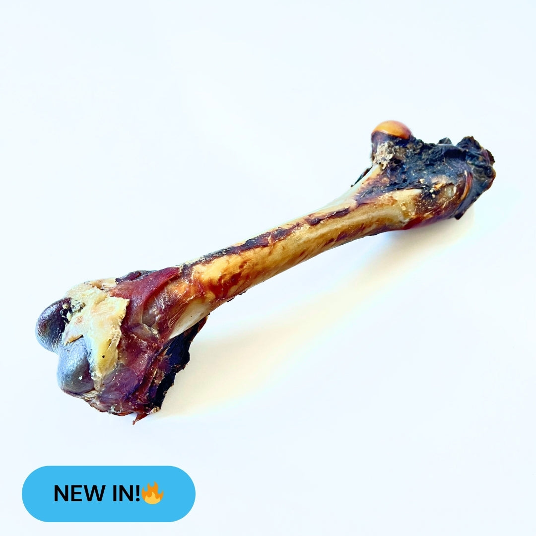 roo femur chew 