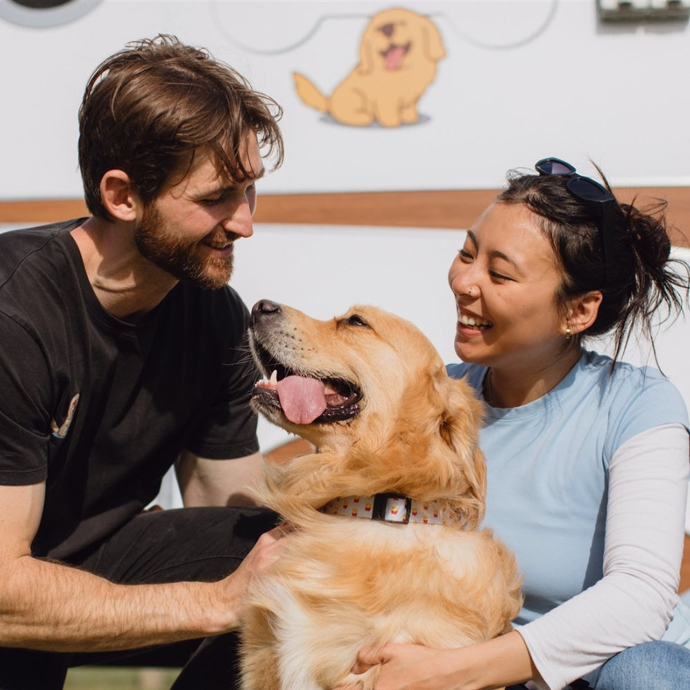 Lenny's Pup Shop
