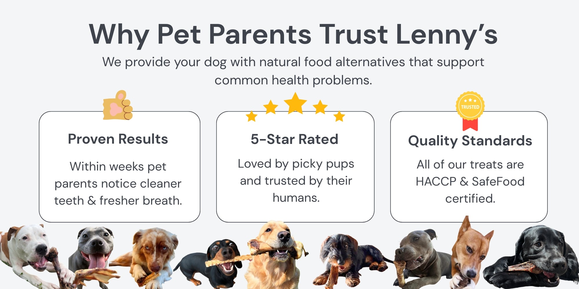 lenny's pup shop reviews