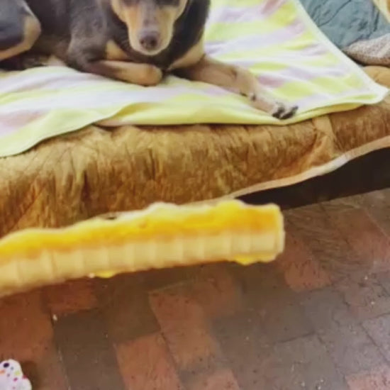 Arthritis pack for dogs