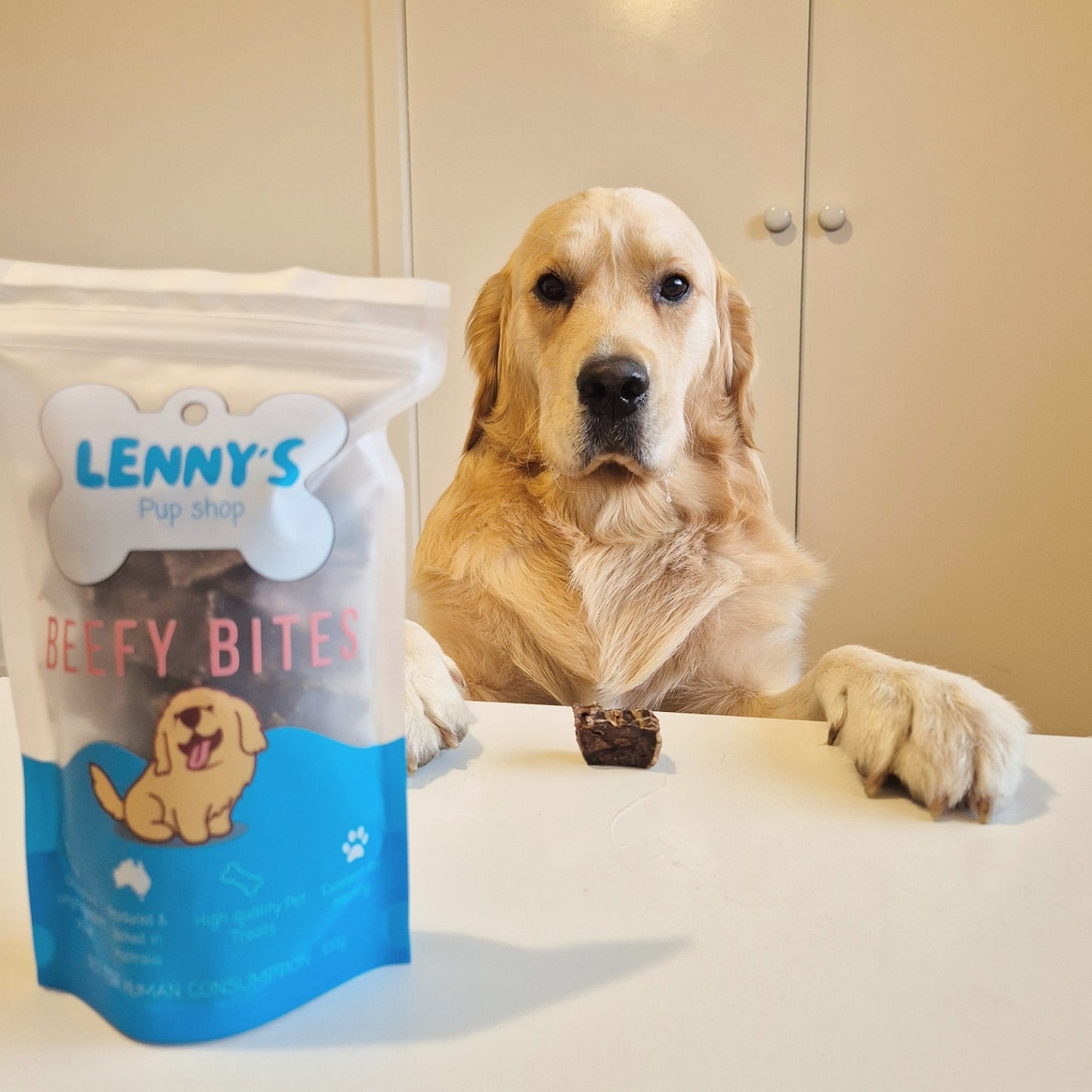 Lenny with Beefy Bites dog treat 