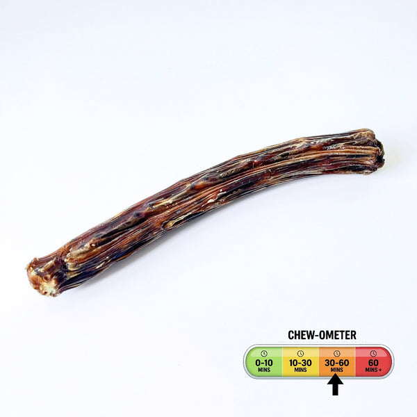 Power Chew ~ Roo King Tail