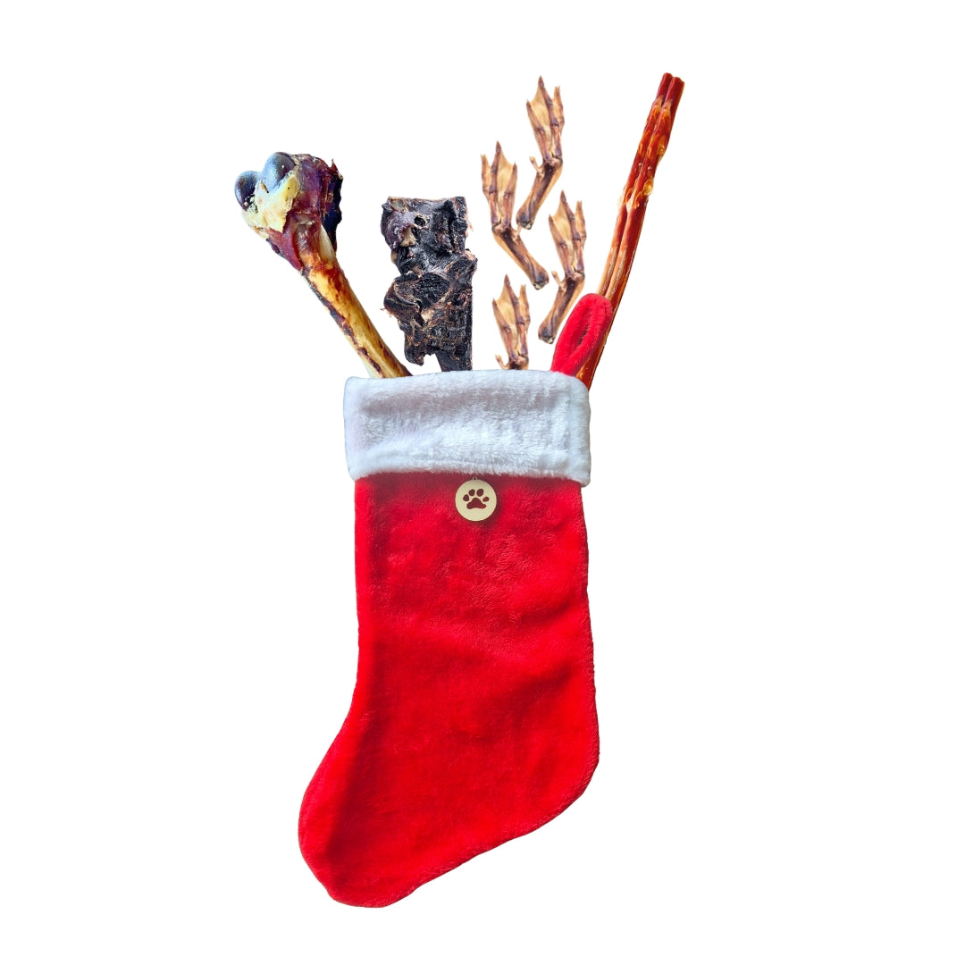 Christmas Chew Stocking