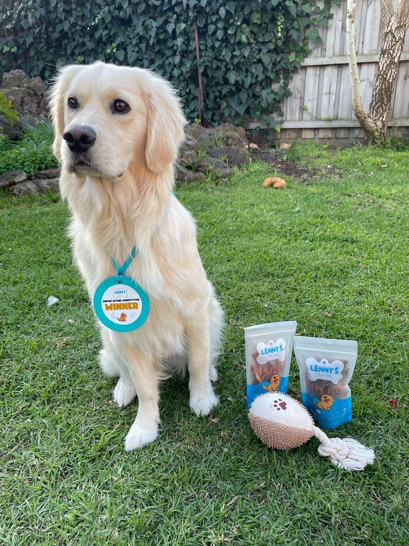 Dog with Beefy Bites dog treat 