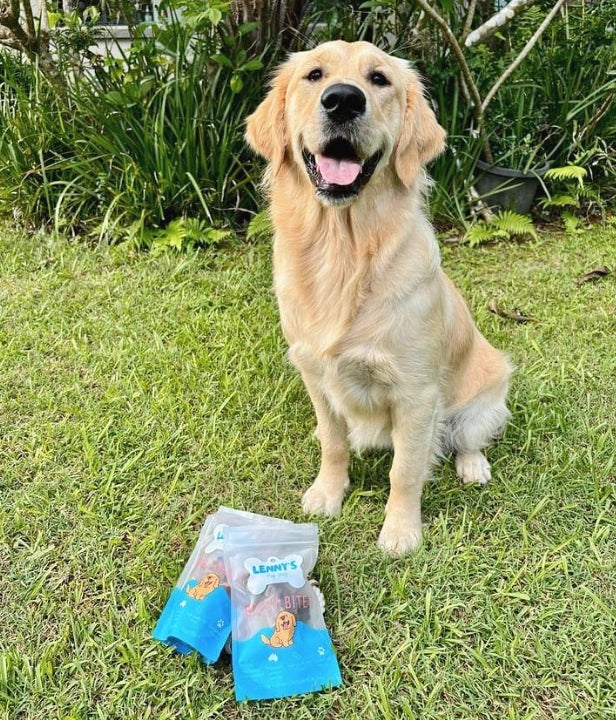 Dog with Beefy Bites dog treat 