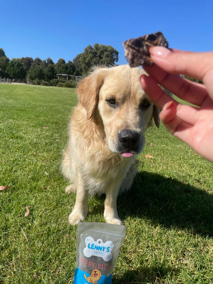 Dog with Beefy Bites dog treat 