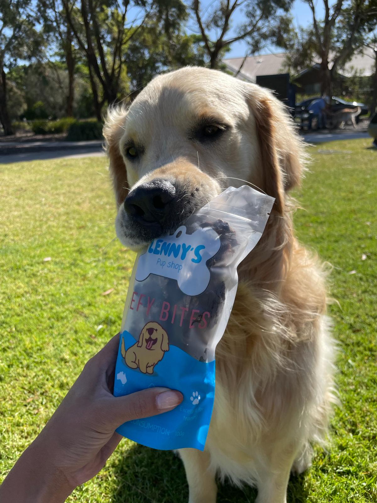 Dog with Beefy Bites dog treat 