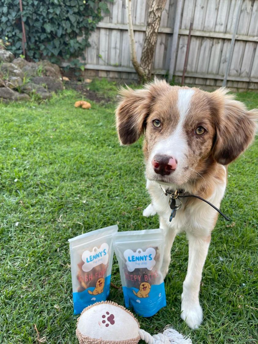 Dog with Beefy Bites dog treat 